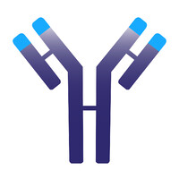 Immunovant, Inc.